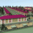 Схема архитектурно-планировочной организации территории. - Газета Маяк