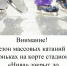 Закрытие сезона массового катания на коньках.. - Любинский район