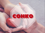 ОБЪЯВЛЕНИЕ ОБ ОТБОРЕ.